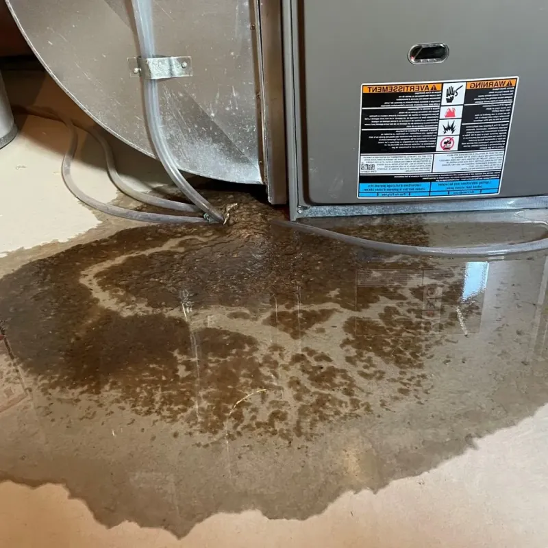 Pipe Burst and Leak Restoration in Pocahontas County, IA
